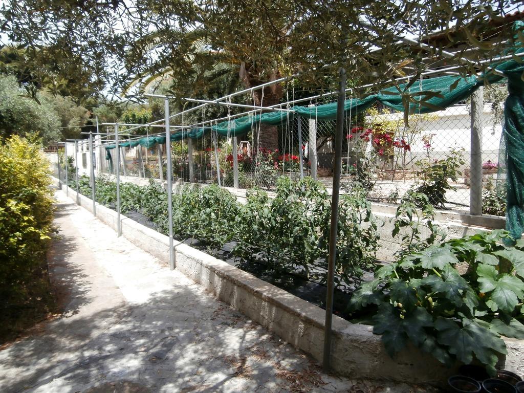 شقة Olive House إيليا المظهر الخارجي الصورة