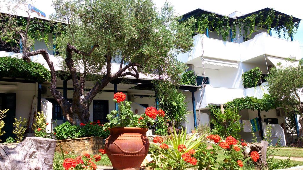شقة Olive House إيليا المظهر الخارجي الصورة